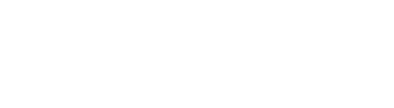 The South OC Real Estate Group Logo